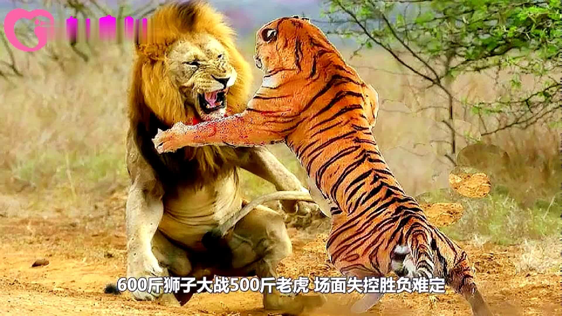 包含大浪淘沙！辽宁宏运对决上海申花，胜负难定的词条