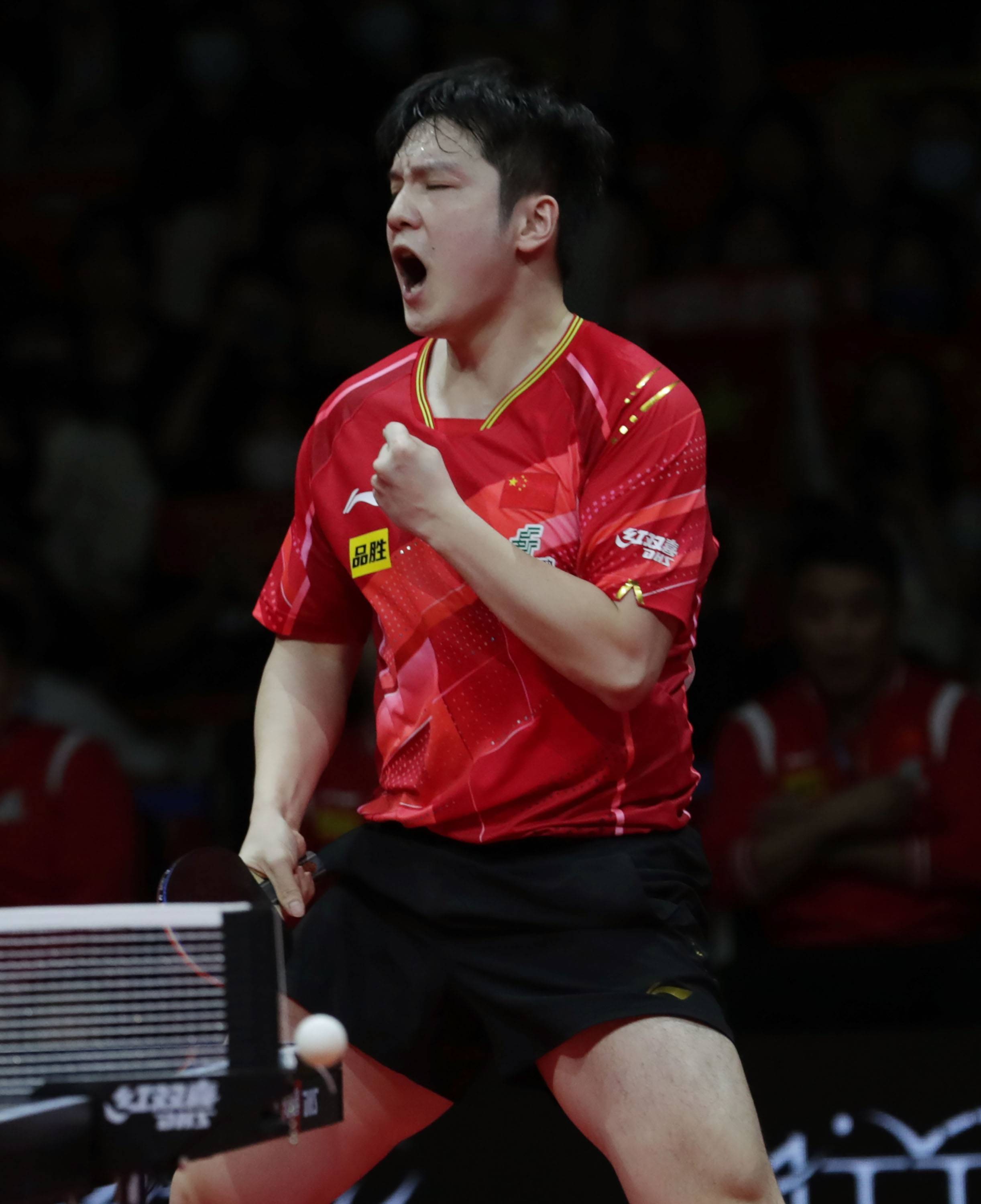 关于波兰乒乓球队强势中国乒乓球队,樊振东爆发神勇的信息 关于波兰乒乓球队强势中国乒乓球队,樊振东爆发神勇的信息