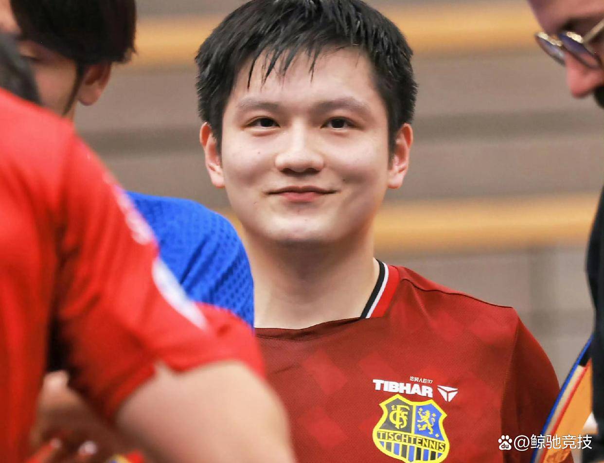 德国乒乓球队碾压奥地利乒乓球队，樊振东爆发神勇的简单介绍
